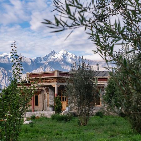 Lchang Nang Retreat-The House Of Trees-Nubra Valley Hotel Sumur Kültér fotó