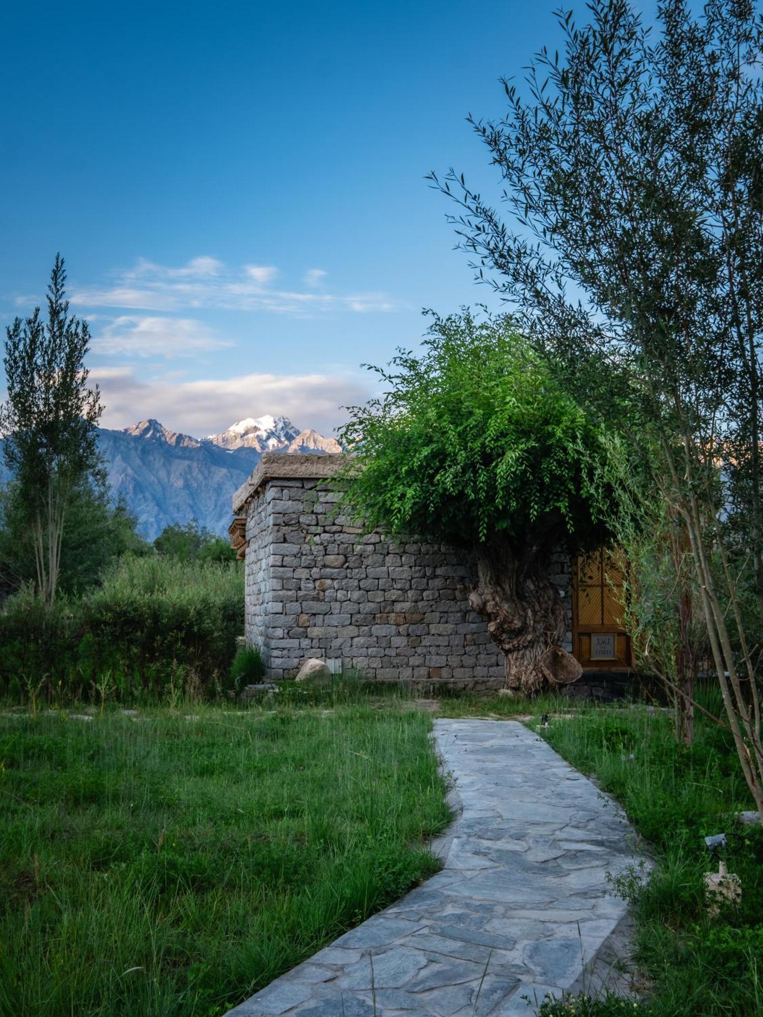 Lchang Nang Retreat-The House Of Trees-Nubra Valley Hotel Sumur Kültér fotó